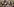 Viele Menschen mit vielen Fotos