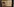 Ein Foto von Anne Frank