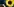 Eine Sonnenblume