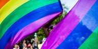 Eine Person schwenkt Regenbogenfahnen auf einer LGBT-Demo in Kopenhagen im Jahr 2013