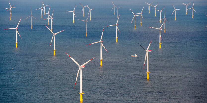 In Meer stehen Windräder