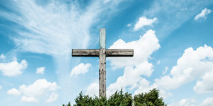 Vor einem blauen Himmel mit weißen Wolken steht ein Holzkreuz, Spitzen von Grünpflanzen bedecken den unteren Teil