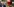 Der nordrhein-westfälische Landesvorsitzende der AfD Marcus Pretzell neben einer hohlen Christbaumkugel (rechts)
