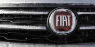 Ein Logo an einem Fiat-Autos
