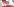 Rote Nelken liegen am Gedenkstein für Rosa Luxemburg und Karl Liebknecht