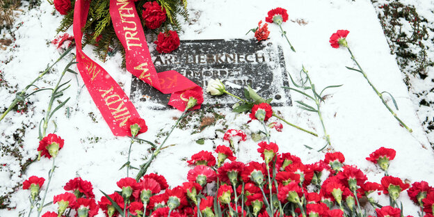 Rote Nelken liegen am Gedenkstein für Rosa Luxemburg und Karl Liebknecht