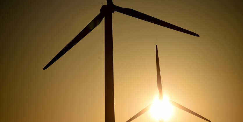 Windräder vor einer Sonne