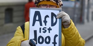 Protest gegen AfD