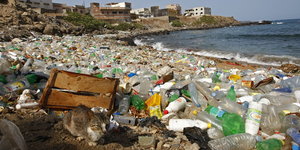 Unzählige Plastikflaschen liegen auf einem Strand
