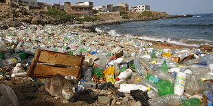 Unzählige Plastikflaschen liegen auf einem Strand