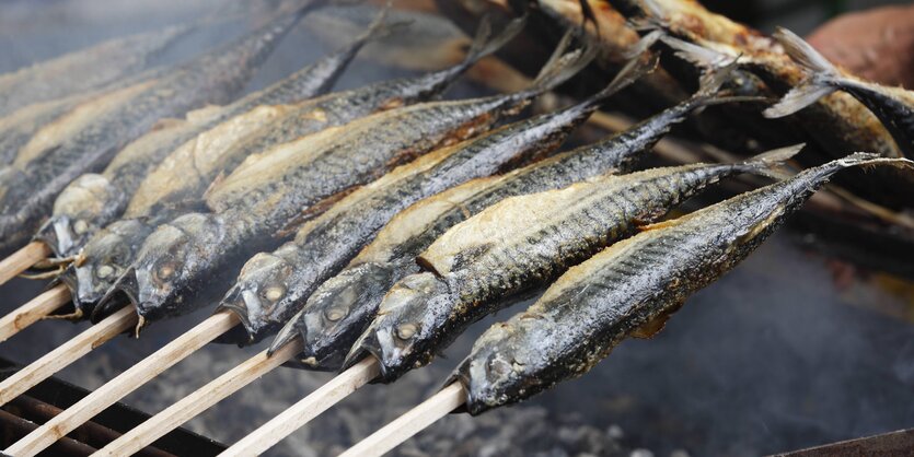 Steckerlfische über dem Grill