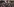 Menschen demonstrieren bei Nacht, einer mit Anonymousmaske, im Hintergrund eine rumänische Fahne