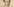 Nostalgisches Bild (gelbstich) von Adolf Lüderitz, nur Ausschnitt eines Portraits
