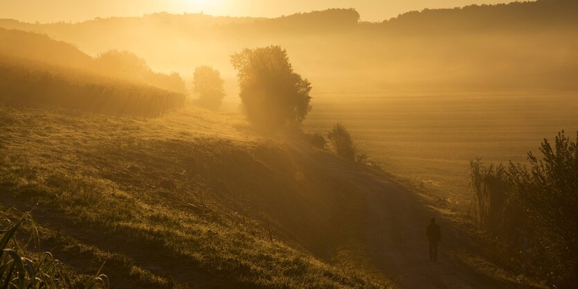 Eine diesige Herbstlandschaft mit Sonnenstrahlen und einem einsamen Spaziergänger