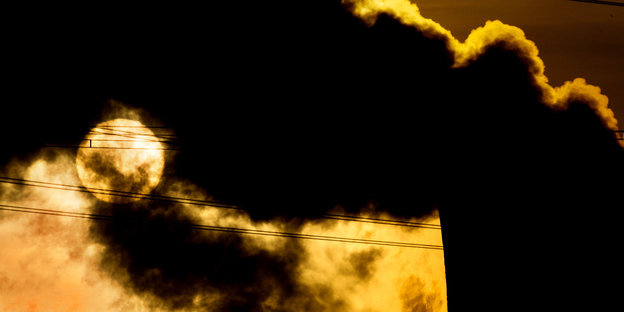 Aufsteigender Rauch des Kohlekraftwerk Mehrum in Hohenhameln