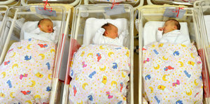 drei Babys liegen in Plastikschalen zugedeckt nebeneinander