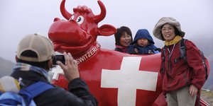 Eine rote Kuh als Attraktion für Touristen.