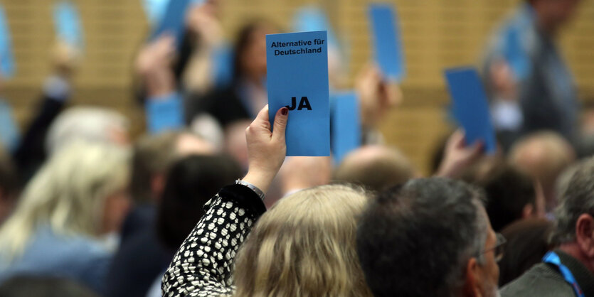 Menschen halten blaue Stimmkärtchen nach oben