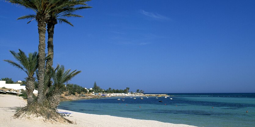 Sandstrand mit Palmen