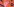 Blaue Zeichnungen von einem Teighörnchen und Pflanzen auf orangefarbenem Grund, in der Mitte eine Hand