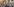 Viele Menschen mit kurdischen Flaggen