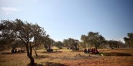 Menschen sitzen unter Bäumen in der Provinz Idlib, 2012