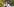 Trainerin Patricia Panico steht auf einem Fußballplatz
