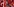 Ein Foto von Erdogan inmitten einem Meer von türkischen Flaggen