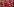 Viele rote und rot-grüne Äpfel