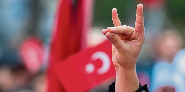 Eine zum Wolfsgruß geformte Hand vor einer türkischen Fahne