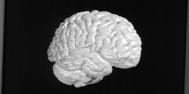 Ein Modell des Gehirns aus weißem Plastik