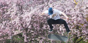 Ein durch die Luft springender Skater vor Fliederbäumen