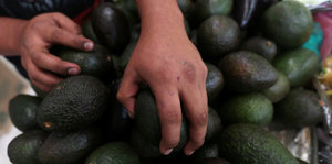 Hände greifen Avocados