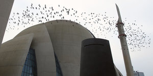 Tauben fliegen über einer Kölner Moschee