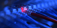 leuchtend rotes LAN-Kabel zwischen vielen nicht-leuchtenden blauen