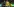 Sechs Spieler des BVB stehen nach der Partie zusammen und blicken auf die Fans