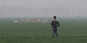 Mann auf einem Feld vor Rongcheng