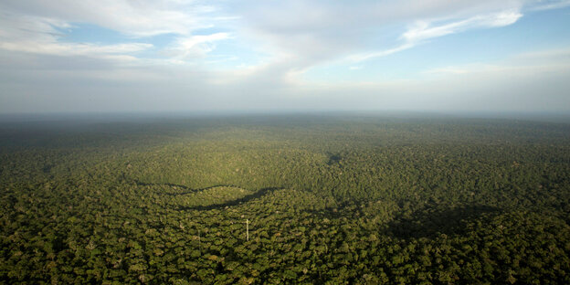 Eine Luftaufnahme vom Regenwald