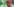 Viele Farben, Rot und Grün dominieren