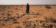 Frau steht zwischen Skeletten ihrer toten Ziegen auf somalischer Steppe