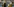 Thomas Tuchel steht schräg hinter einem Spieler und fletscht die Zähne