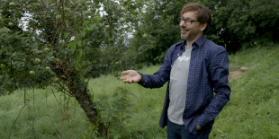 Ein Mann neben einem Apfelbaum