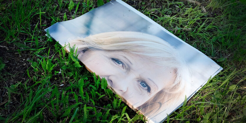 Ein halbes Wahlplakat liegt auf Gras