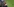 Eine Jacke in Bundeswehrfarben vor Grünem Hintergrund, auf die eine Deutschlandflagge gestickt ist