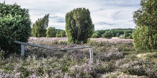 Eine Landschaftsaufnahme