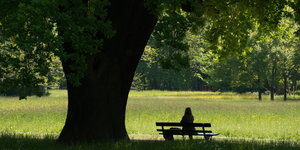 Eine Frau sitzt in einem Park in Dresden auf einer Bank