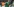 Ein Mann, Max Kruse