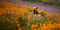 Eine Frau sitzt in einem Blumenfeld und macht mit Hilfe eines Handy-Sticks ein Foto von sich