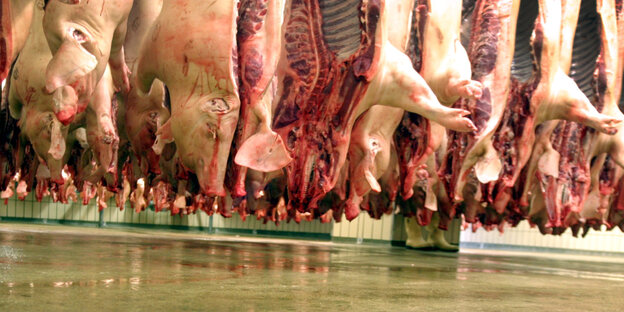 Schweinehälften im Schlachthaus