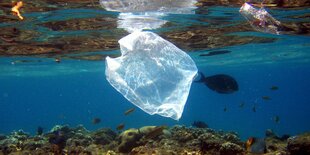 Plastiktüte im Meer